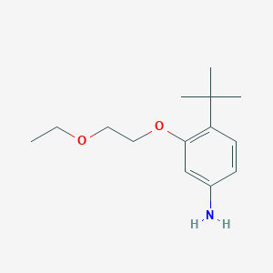 3-(2-Ethoxyethoxy)-4-tert-butylbenzenamine