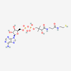 [({[(2R,3S,4R,5R)-5-(6-amino-9H-purin-9-yl)-3,4-dihydroxyoxolan-2-yl]methoxy}(hydroxy)phosphoryl)oxy][3-hydroxy-2,2-dimethyl-3-({2-[(2-sulfanylethyl)carbamoyl]ethyl}carbamoyl)propoxy]phosphinic acid