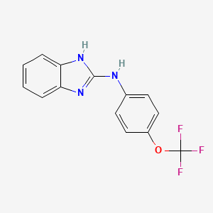 molecular formula C14H10F3N3O B8483826 N-[4-(Trifluoromethoxy)phenyl]-1H-benzimidazol-2-amine CAS No. 917974-37-9