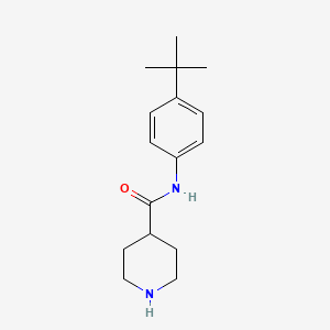 molecular formula C16H24N2O B8488885 N-(4-tert-butylphenyl)piperidine-4-carboxamide 