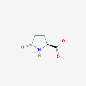 molecular formula C5H6NO3- B8496135 Pyroglutamate 