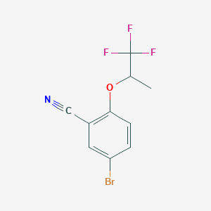 molecular formula C10H7BrF3NO B8498458 Benzonitrile, 5-bromo-2-(2,2,2-trifluoro-1-methylethoxy)- 