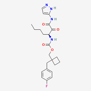 molecular formula C23H29FN4O4 B8501635 [1-(4-Fluorobenzyl)cyclobutyl]methyl (1S)-1-[oxo(1H-pyrazol-5-ylamino)acetyl]pentylcarbamate 