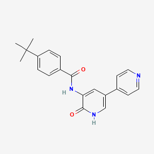molecular formula C21H21N3O2 B8512603 3-(4-tert-Butylbenzoylamino)-5-(pyridin-4-yl)-(1H)-pyridin-2-one 