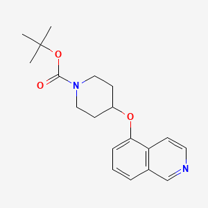 molecular formula C19H24N2O3 B8514134 tert-butyl 4-isoquinolin-5-yloxypiperidine-1-carboxylate 
