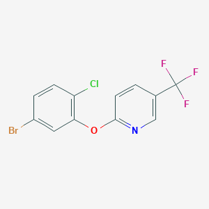 2-(5-Bromo-2-chlorophenoxy)-5-(trifluoromethyl)pyridine