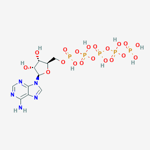 molecular formula C10H18N5O19P5 B085216 Adenosine 5'-pentaphosphate CAS No. 14535-90-1