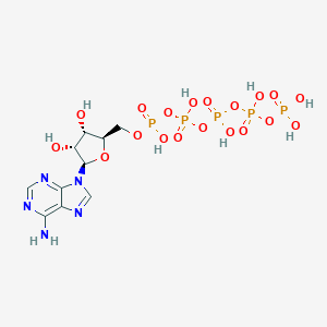 molecular formula C10H18N5O19P5 B085216 Adenosine-5'-pentaphosphate CAS No. 14535-90-1
