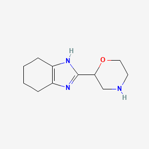 2-(2-Morpholinyl)-4,5,6,7-tetrahydro-1H-benzimidazole