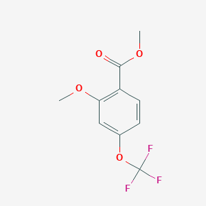 molecular formula C10H9F3O4 B8538891 Benzoic acid, 2-methoxy-4-(trifluoromethoxy)-, methyl ester 
