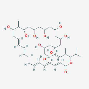 molecular formula C40H64O11 B085389 Dermostatin CAS No. 11120-15-3