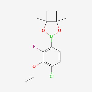 2-(4-Chloro-3-ethoxy-2-fluorophenyl)-4,4,5,5-tetramethyl-1,3,2-dioxaborolane
