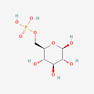 molecular formula C6H13O9P B8544265 beta-D-Glucose 6-phosphate CAS No. 15209-12-8