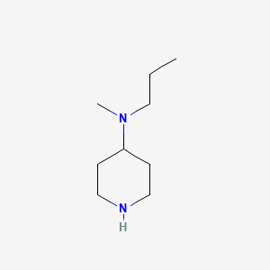 Methyl-piperidin-4-yl-propyl-amine