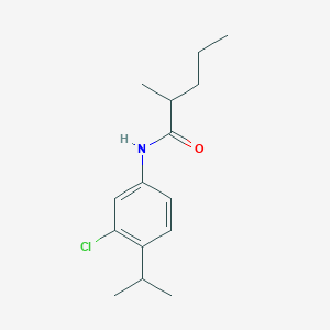 N-(3-Chloro-4-propan-2-ylphenyl)-2-methylpentanamide
