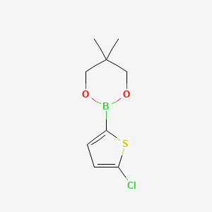 2-(5-Chloro-2-thienyl)-5,5-dimethyl-1,3,2-dioxaborinane