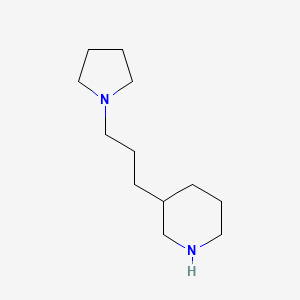 molecular formula C12H24N2 B8558767 3-(3-(Pyrrolidin-1-yl)propyl)piperidine 