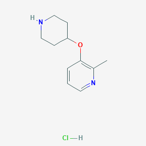 molecular formula C11H17ClN2O B8560535 2-Methyl-3-(piperidin-4-yloxy)pyridine hydrochloride 