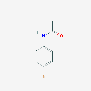 molecular formula C8H8BrNO B085723 4'-溴乙酰苯胺 CAS No. 103-88-8