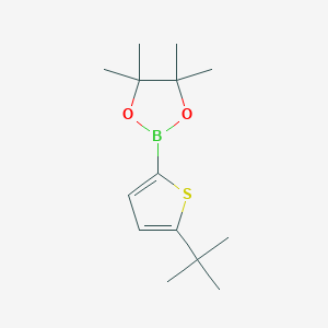 2-(5-Tert-butylthiophen-2-yl)-4,4,5,5-tetramethyl-1,3,2-dioxaborolane