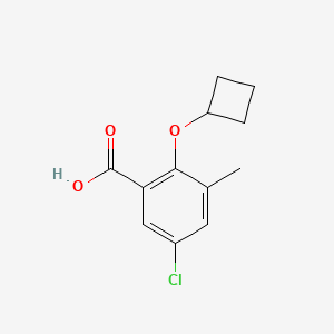 5-Chloro-2-cyclobutoxy-3-methyl-benzoic acid