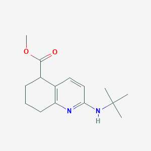 molecular formula C15H22N2O2 B8577282 Methyl 2-(tert-butylamino)-5,6,7,8-tetrahydroquinoline-5-carboxylate 