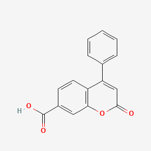 molecular formula C16H10O4 B8578842 7-Carboxy-4-phenylcoumarin 