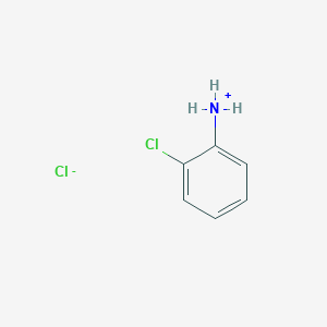 molecular formula C6H7Cl2N B085806 2-氯苯胺盐酸盐 CAS No. 137-04-2