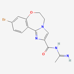 molecular formula C14H13BrN4O2 B8582970 9-bromo-N-(1-iminoethyl)-5,6-dihydrobenzo[f]imidazo[1,2-d][1,4]oxazepine-2-carboxamide 