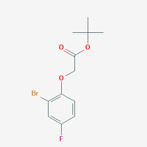 molecular formula C12H14BrFO3 B8585453 Tert-butyl (2-bromo-4-fluorophenoxy)acetate 