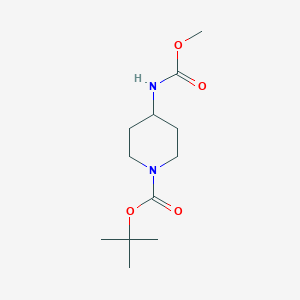molecular formula C12H22N2O4 B8587873 Tert-butyl 4-((methoxycarbonyl)amino)piperidine-1-carboxylate 