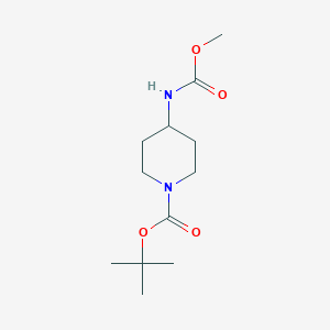 molecular formula C12H22N2O4 B8587873 Tert-butyl 4-[(methoxycarbonyl)amino]piperidine-1-carboxylate 
