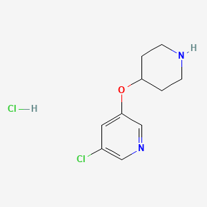 3-Chloro-5-(piperidin-4-yloxy)pyridine hydrochloride