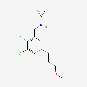 molecular formula C14H19Cl2NO B8592850 N-[[2,3-dichloro-5-(3-methoxypropyl)phenyl]methyl]cyclopropanamine 