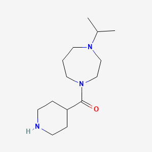 Piperidin-4-yl-(4-propan-2-yl-1,4-diazepan-1-yl)methanone