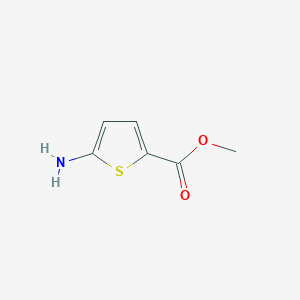 molecular formula C6H7NO2S B085972 Methyl 5-aminothiophene-2-carboxylate CAS No. 14597-58-1