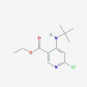 molecular formula C12H17ClN2O2 B8599965 Ethyl 4-(tert-butylamino)-6-chloropyridine-3-carboxylate 