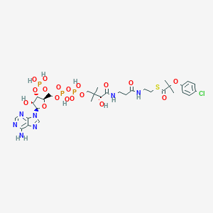 molecular formula C31H45ClN7O18P3S B008600 Clofibric acid-coenzyme A CAS No. 104732-21-0