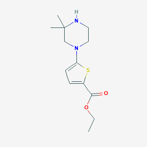 molecular formula C13H20N2O2S B8604719 Ethyl 5-(3,3-dimethylpiperazin-1-yl)thiophene-2-carboxylate 