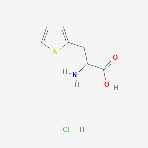 molecular formula C7H10ClNO2S B8607074 3-Thiophen-2-yl-L-alanine hydrochloride 