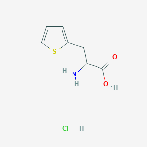molecular formula C7H10ClNO2S B8607074 (S)-2-Amino-3-thiophen-2-yl-propionic acid, HCl 