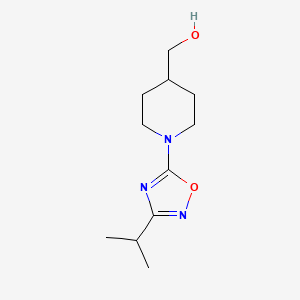 molecular formula C11H19N3O2 B8610278 {1-[3-(propan-2-yl)-1,2,4-oxadiazol-5-yl]piperidin-4-yl}methanol CAS No. 1032824-92-2