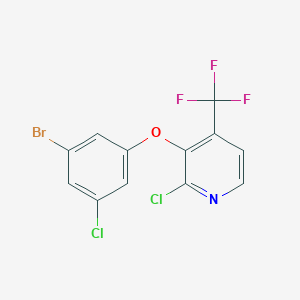 3-(3-Bromo-5-chlorophenoxy)-2-chloro-4-(trifluoromethyl)pyridine