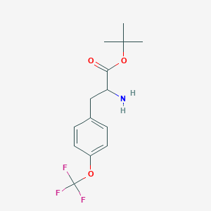 molecular formula C14H18F3NO3 B8616149 Tert-Butyl 2-amino-3-[4-(trifluoromethoxy)phenyl]propanoate 
