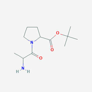 molecular formula C12H22N2O3 B8621959 Tert-butyl 1-(2-aminopropanoyl)pyrrolidine-2-carboxylate 