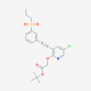 molecular formula C22H24ClNO5S B8640543 Tert-butyl[(5-chloro-3-{[3-(propylsulfonyl)phenyl]ethynyl}pyridin-2-yl)oxy]acetate 