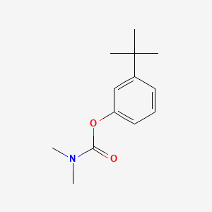 molecular formula C13H19NO2 B8653049 Phenol, m-tert-butyl-, dimethylcarbamate CAS No. 24487-50-1