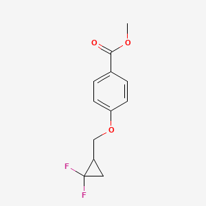 molecular formula C12H12F2O3 B8653199 Methyl 4-[(2,2-difluorocyclopropyl)methoxy]benzoate CAS No. 921623-14-5