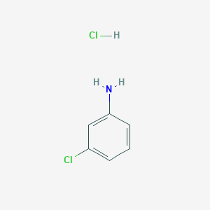 molecular formula C6H7Cl2N B086543 3-Chloroaniline hydrochloride CAS No. 141-85-5