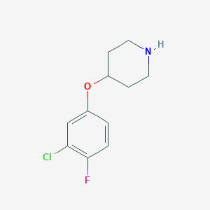 4-(3-Chloro-4-fluorophenoxy)piperidine